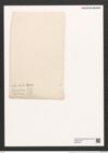Rhaphoneis lancettula Grun. (de-Toni-Nr.: Genus 78, Species 2839) Zeichnungen Sammlung Grunow (NHMW-BOT-W0374203)